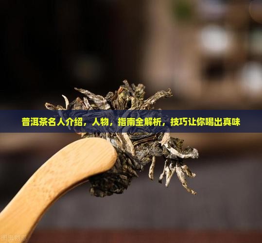 普洱茶名人介绍
