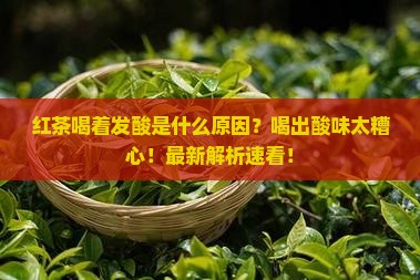 红茶喝着发酸是什么原因