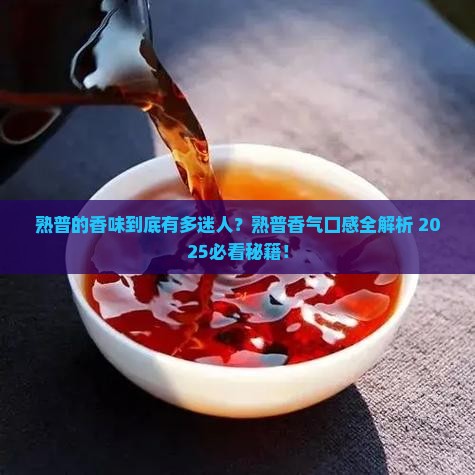 熟普的香味熟普香气口感