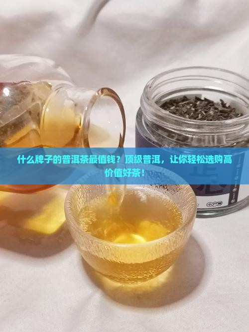 什么牌子的普洱茶最值钱