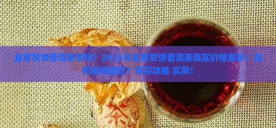 金芽贡饼普洱茶贵吗