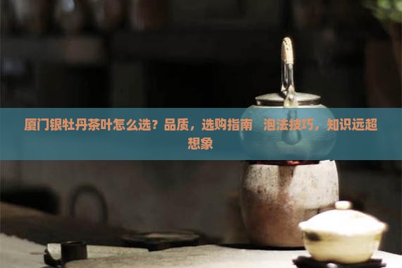 厦门银牡丹茶叶
