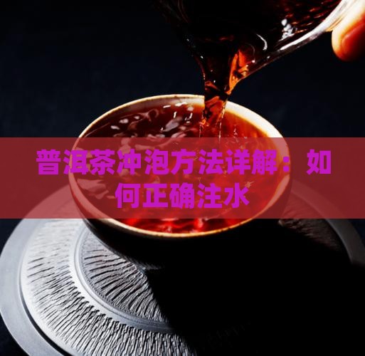 冲泡普洱茶注水