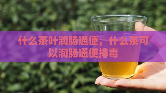 什么茶叶润肠通便