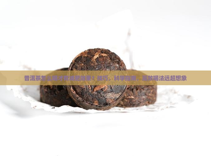 普洱茶怎么喝才有减肥效果