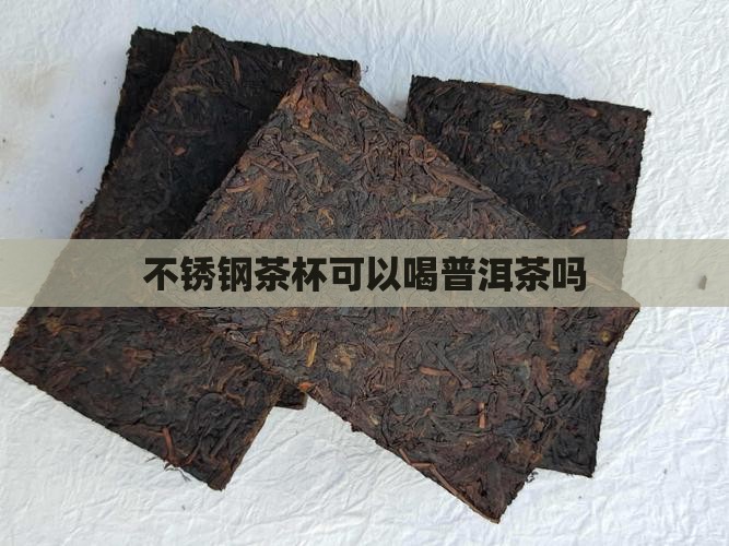 不锈钢茶杯可以喝普洱茶吗