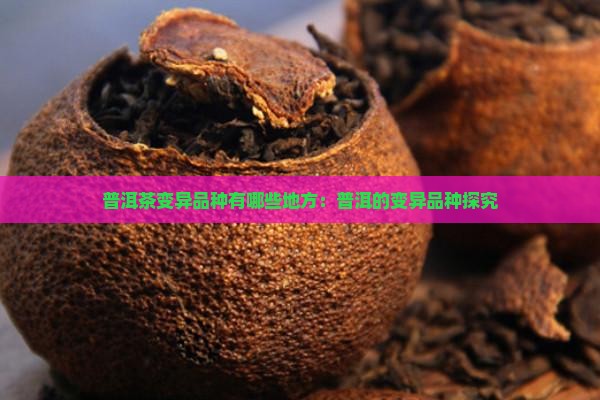普洱茶变异品种有哪些地方