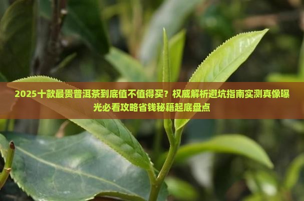 十款最贵普洱茶