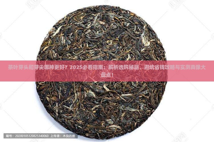 茶叶芽头和芽尖哪种好