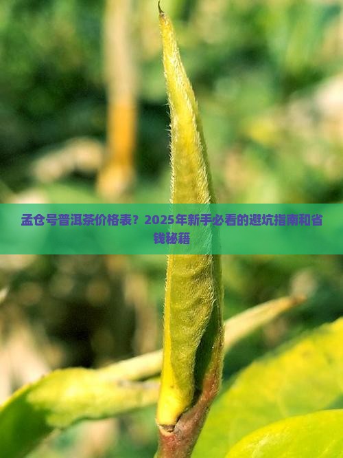孟仓号普洱茶价格表