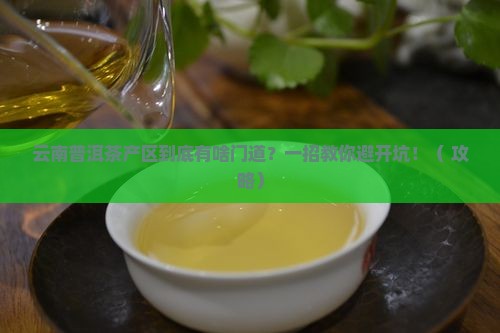 云南普洱茶产区顺口溜