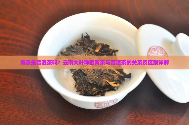 青茶是普洱茶吗