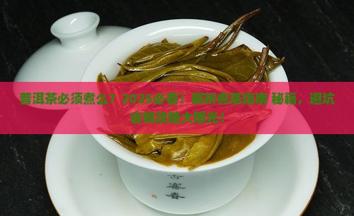 普洱茶必须煮么