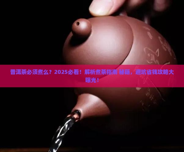 普洱茶必须煮么