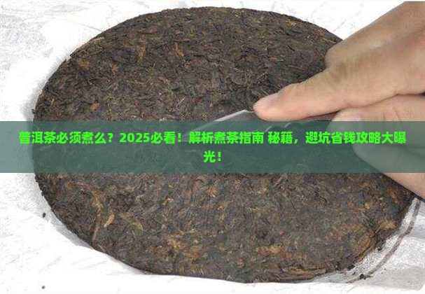 普洱茶必须煮么