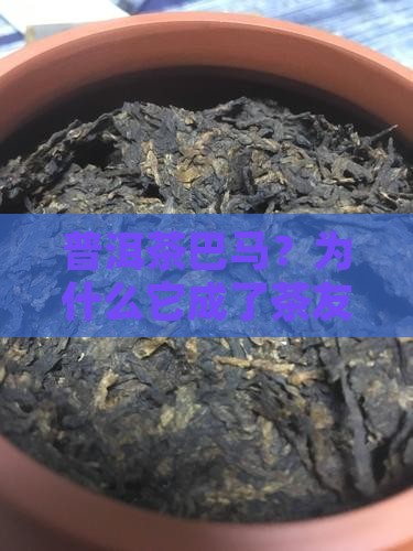 普洱茶品牌巴马