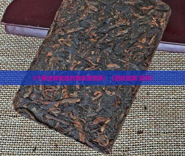 陈皮普洱茶选哪家好