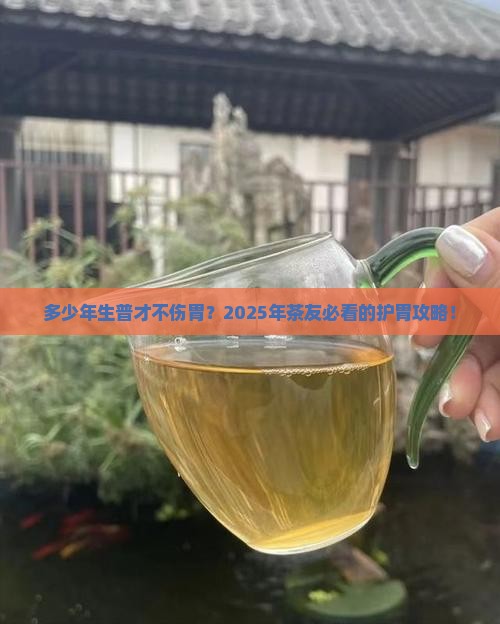 多少年的生普不伤胃