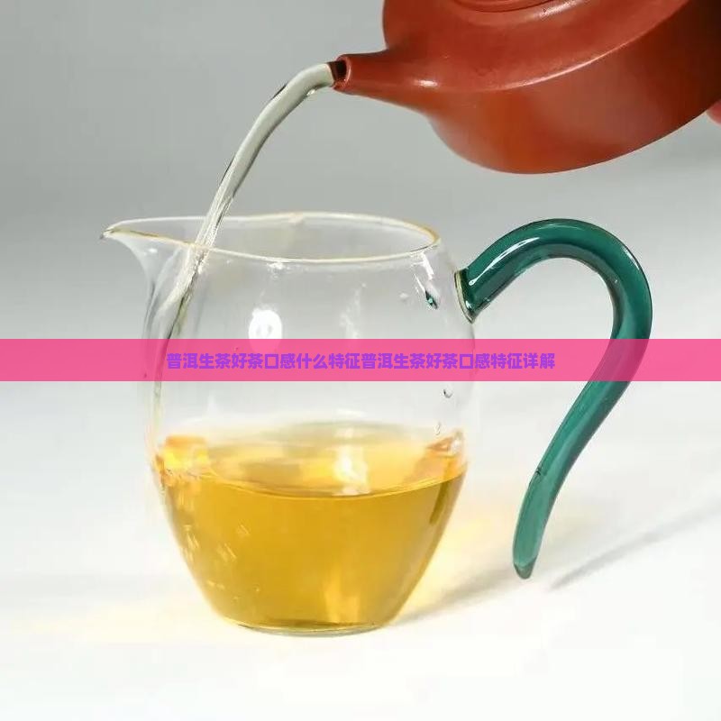 普洱生茶好茶口感什么特征
