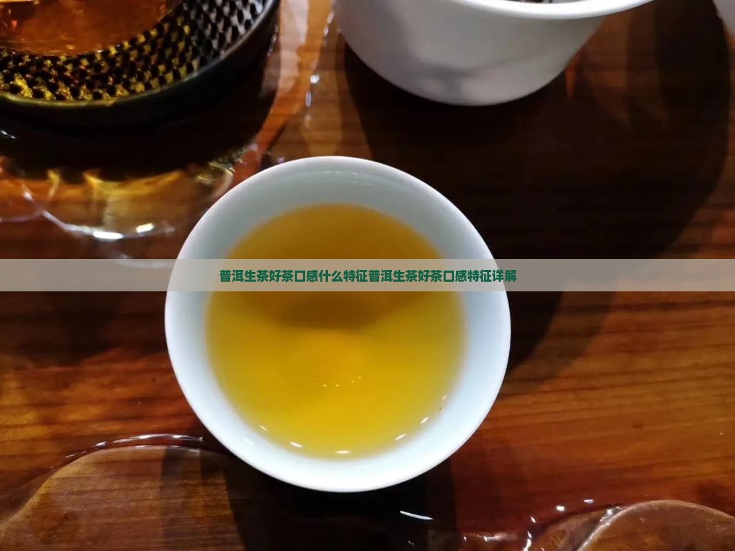 普洱生茶好茶口感什么特征