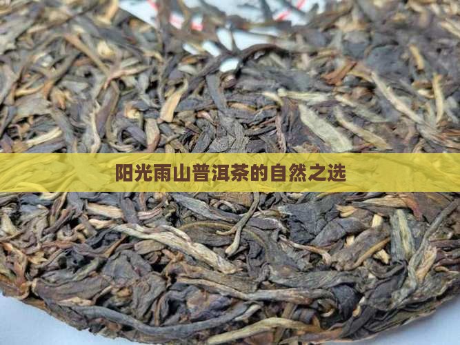 阳光雨山普洱茶