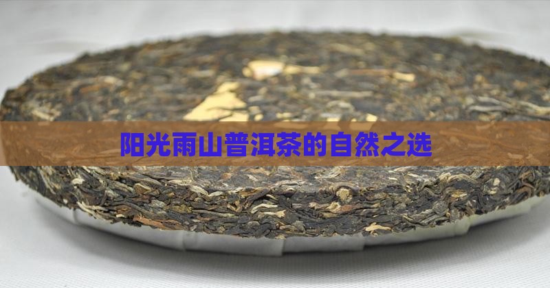 阳光雨山普洱茶