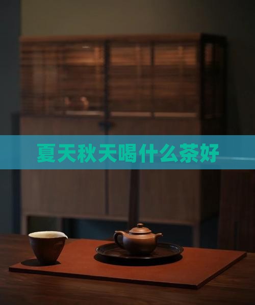 夏天秋天喝什么茶好