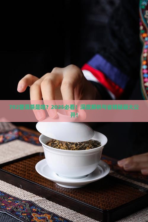 702普洱茶什么意思