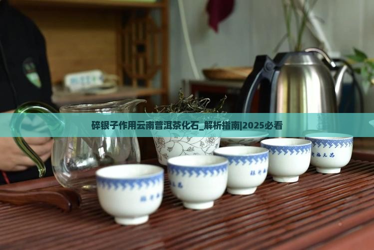 碎银子作用云南普洱茶化石