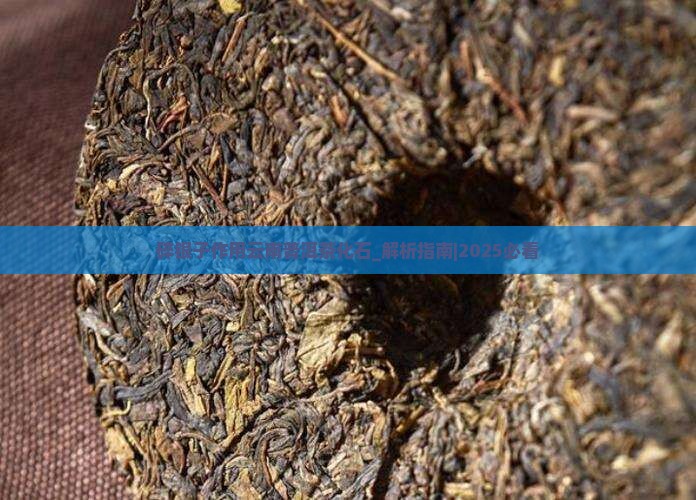 碎银子作用云南普洱茶化石