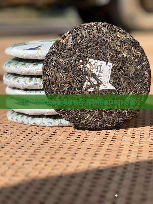 碎银子作用云南普洱茶化石