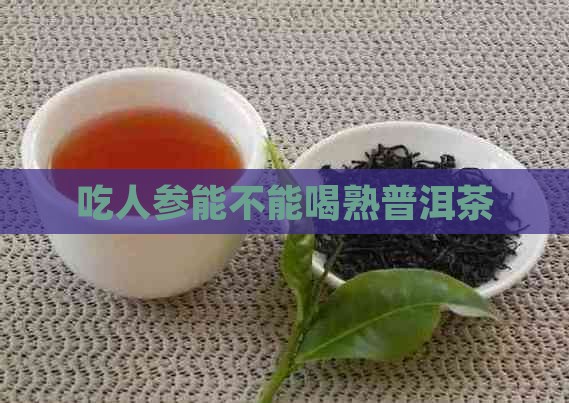 吃人参能不能喝熟普洱茶