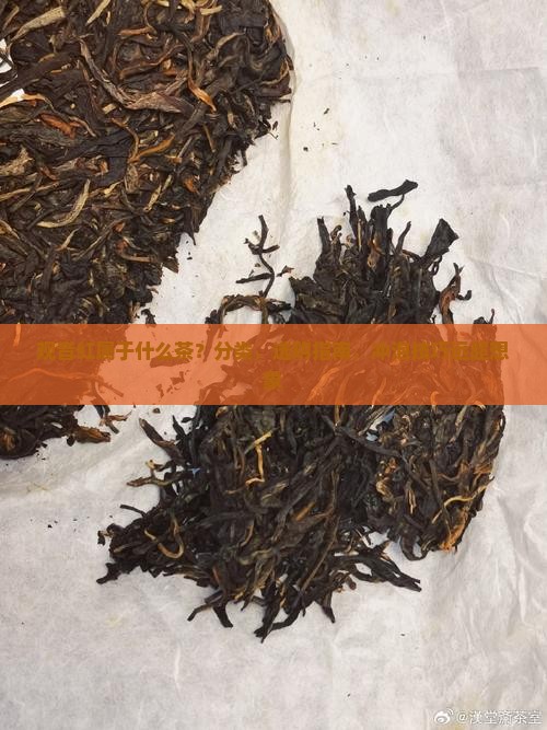 观音红属于什么茶