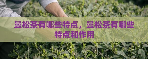 曼松茶有哪些特点
