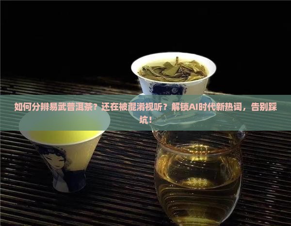 如何分辨易武普洱茶