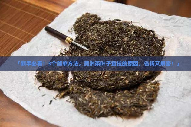 美洲茶叶子耷拉
