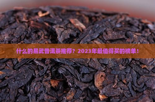 什么品牌的易武普洱茶推荐