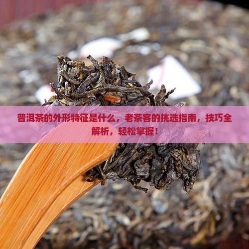 普洱茶的外形特征是什么
