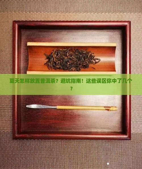 夏天怎样放置普洱茶
