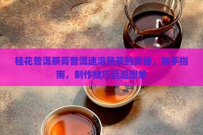 桂花普洱茶膏普洱速溶熟茶