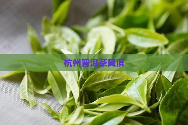 杭州普洱茶吴滨