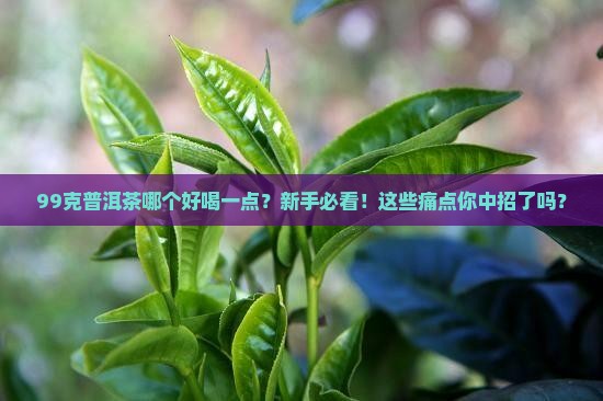 99克普洱茶哪个好喝一点