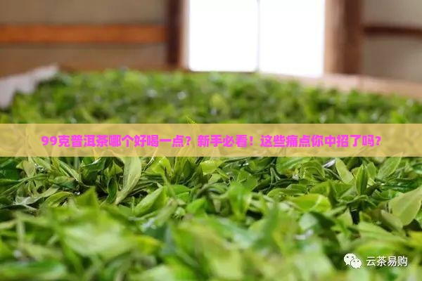 99克普洱茶哪个好喝一点