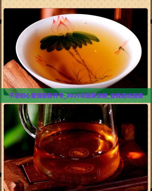 不忘初心普洱茶陈升号