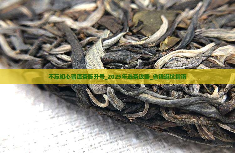 不忘初心普洱茶陈升号
