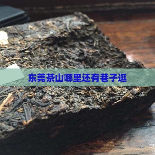 东莞茶山哪里还有巷子逛