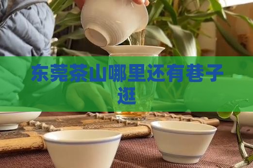 东莞茶山哪里还有巷子逛
