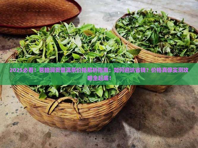 茗皓涧贵普洱茶价格