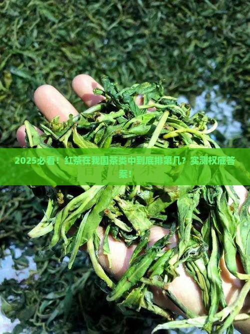 红茶是我国第几大茶类