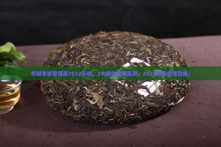 布朗老爹普洱茶2022天境